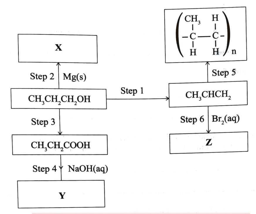 Figure 4: CH₃CH₂CH₂OH reacts with Mg(s) (step 2) to give X; is oxidised (step 3) to CH₃CH₂COOH, which reacts with NaOH(aq) (step 4) to give Y; and is dehydrated (step 1) to CH₃CH=CH₂, which polymerises (step 5) to poly(propene) and reacts with Br₂(aq) (step 6) to give Z.