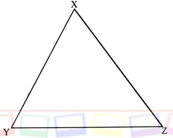 Triangle XYZ with base YZ horizontal and X at the top.