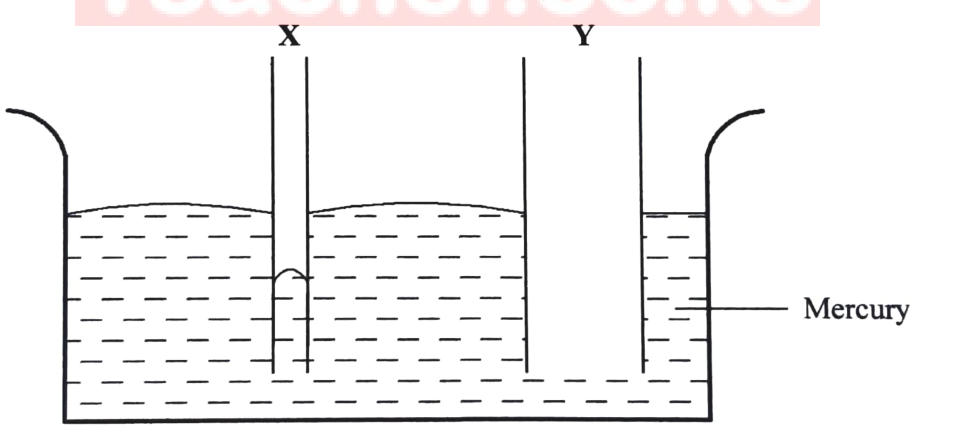 Figure 4: a narrow tube X and a wide tube Y dipped in mercury; the mercury in X is depressed below the outside level with a convex meniscus.
