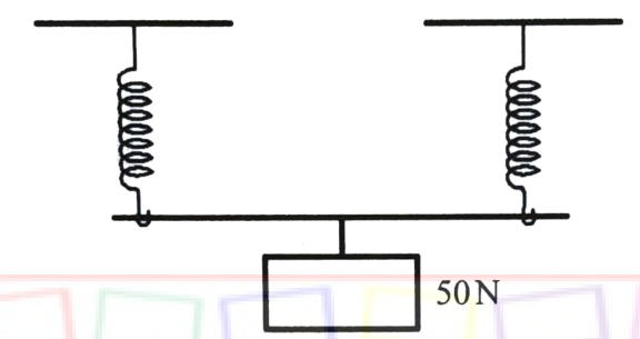 Figure 5: two identical springs side by side holding a bar from which a 50 N weight hangs.