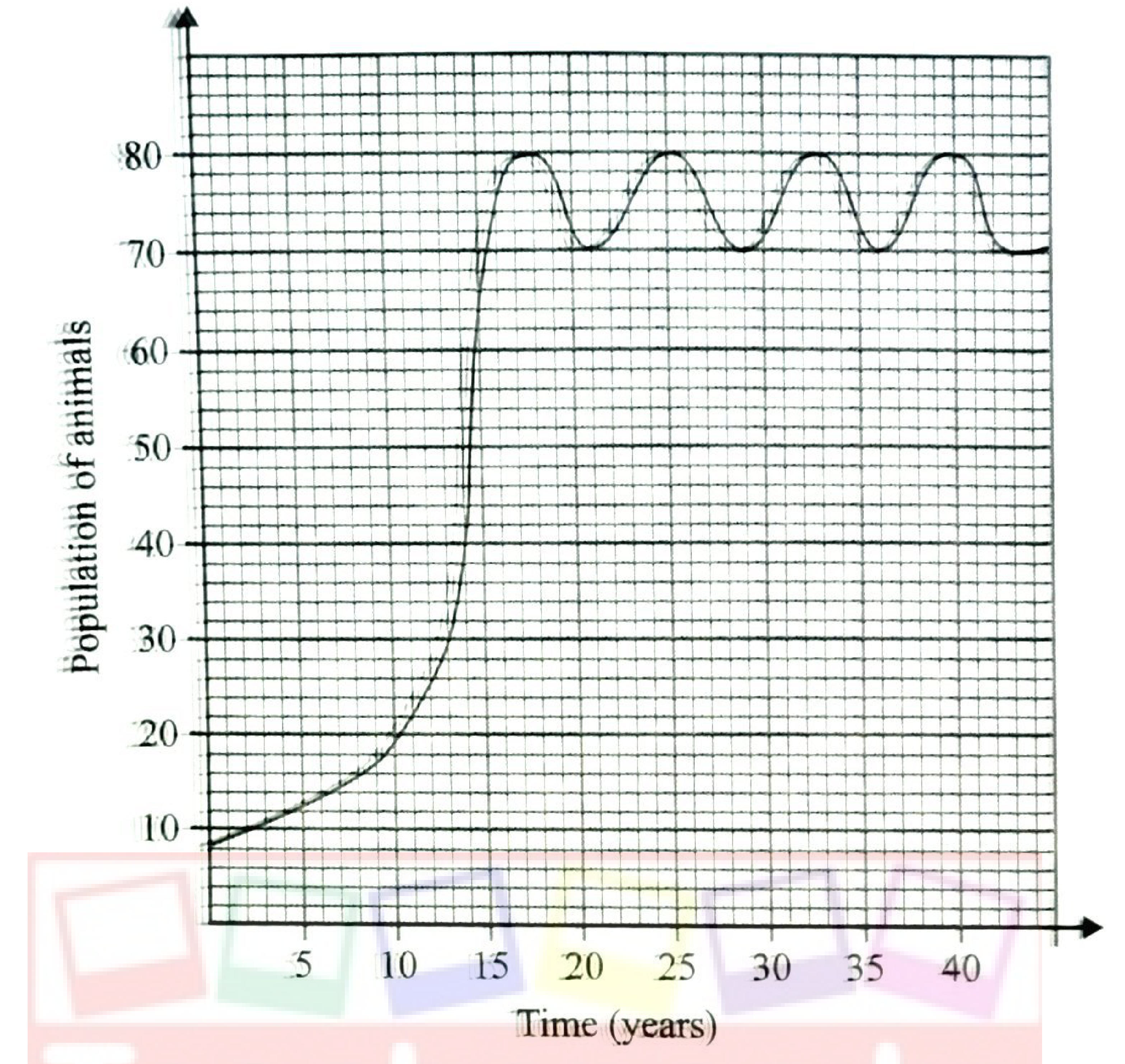 Population of animals against time (years): slow growth from about 10 at year 0, a steep rise to about 80 at year 15, then oscillation between about 70 and 80 up to year 40.