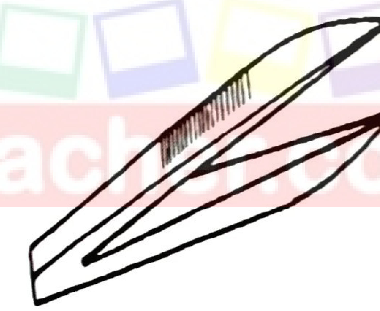 A pair of forceps with long, pointed, serrated tips.
