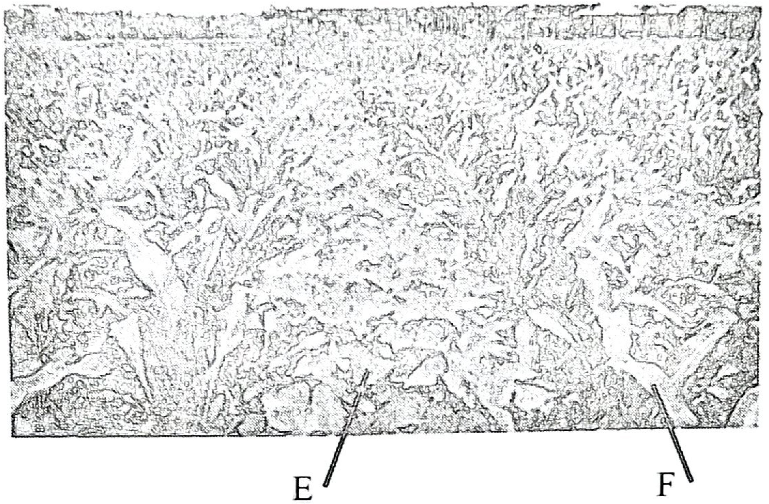 Photograph of a field with two crops growing together; E labels a low-growing crop and F a taller crop.
