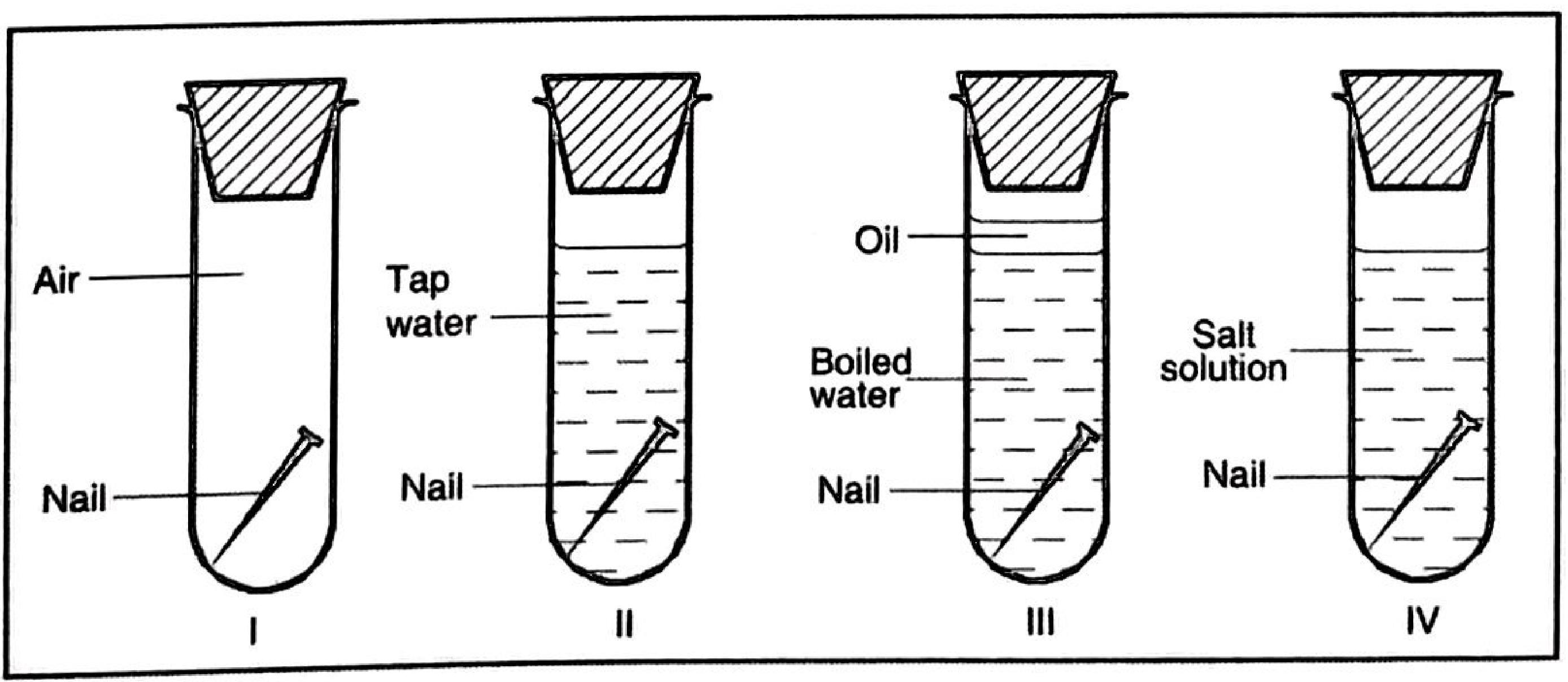 Figure 4: four stoppered test tubes with iron nails — I in air, II in tap water, III in boiled water under a layer of oil, IV in salt solution.