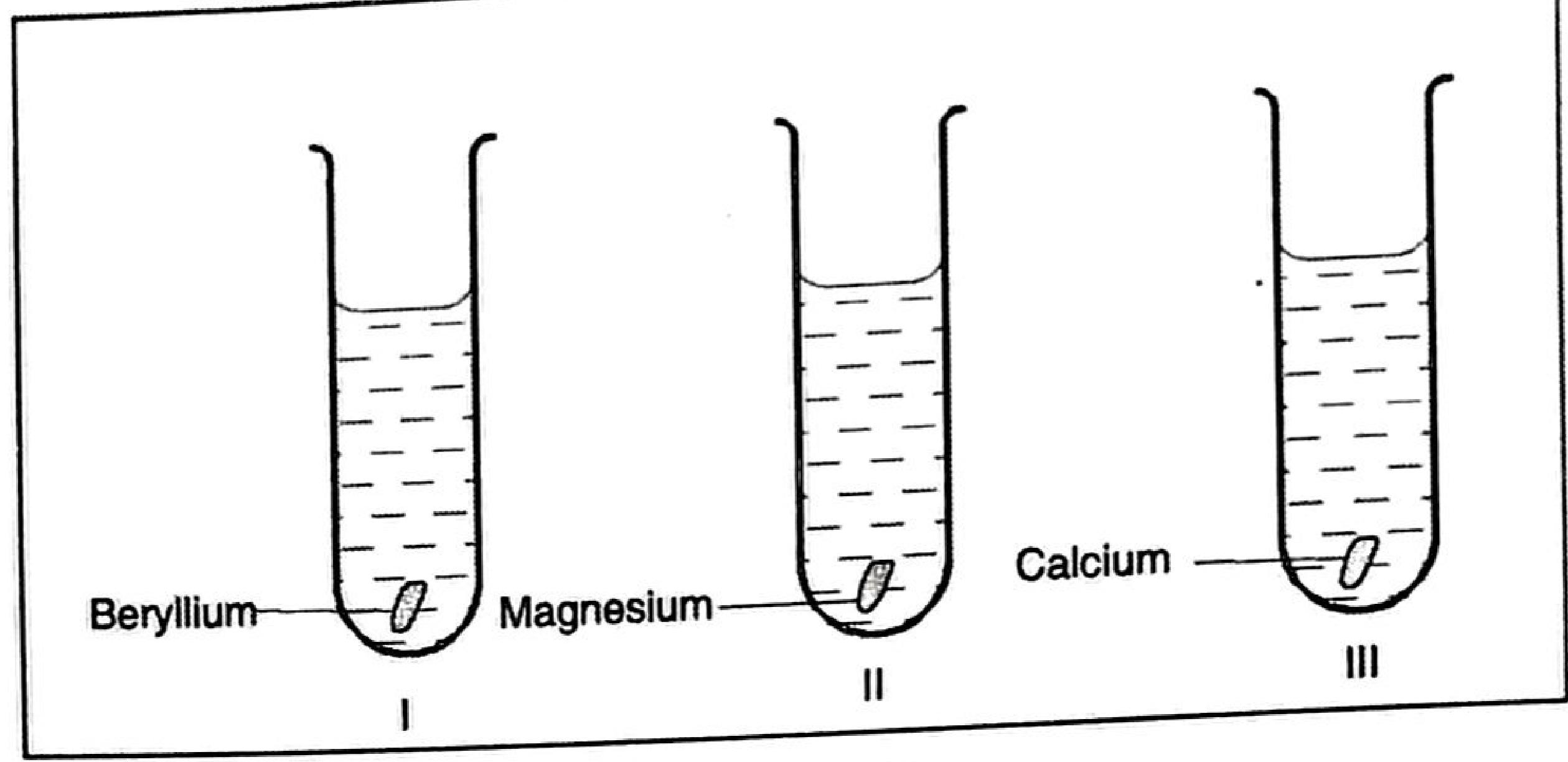 Figure 5: three test tubes of water with phenolphthalein — I with beryllium, II with magnesium, III with calcium.
