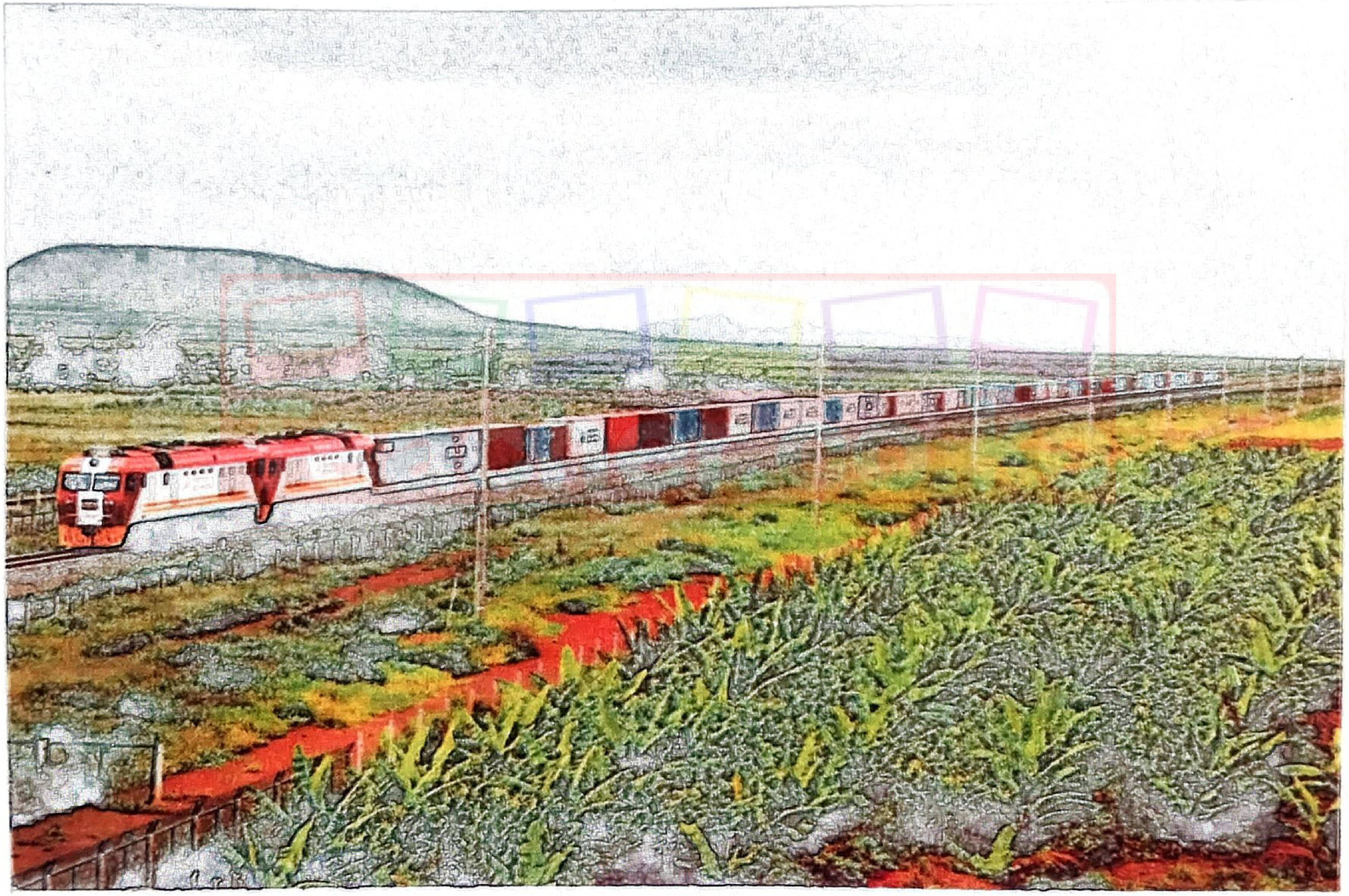 Photograph: a long container train pulled by red-and-white locomotives runs across a plain beside a line of poles; a fence and a red earth path border a cultivated field of maize/bananas in the foreground; a flat-topped ridge rises in the background.