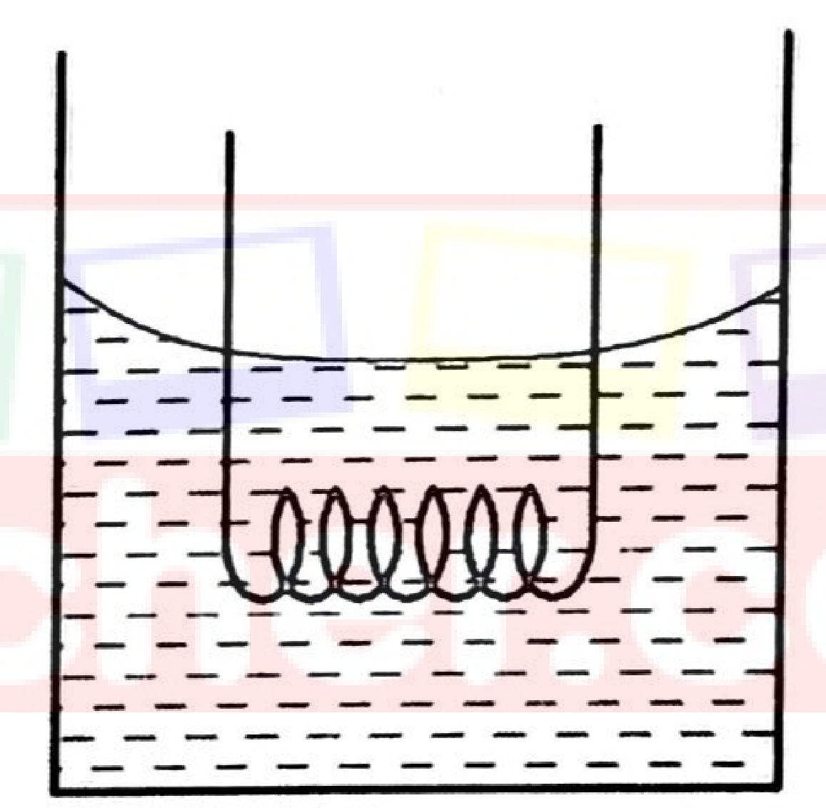 Figure 3: a tungsten heating coil hanging in water in a beaker.