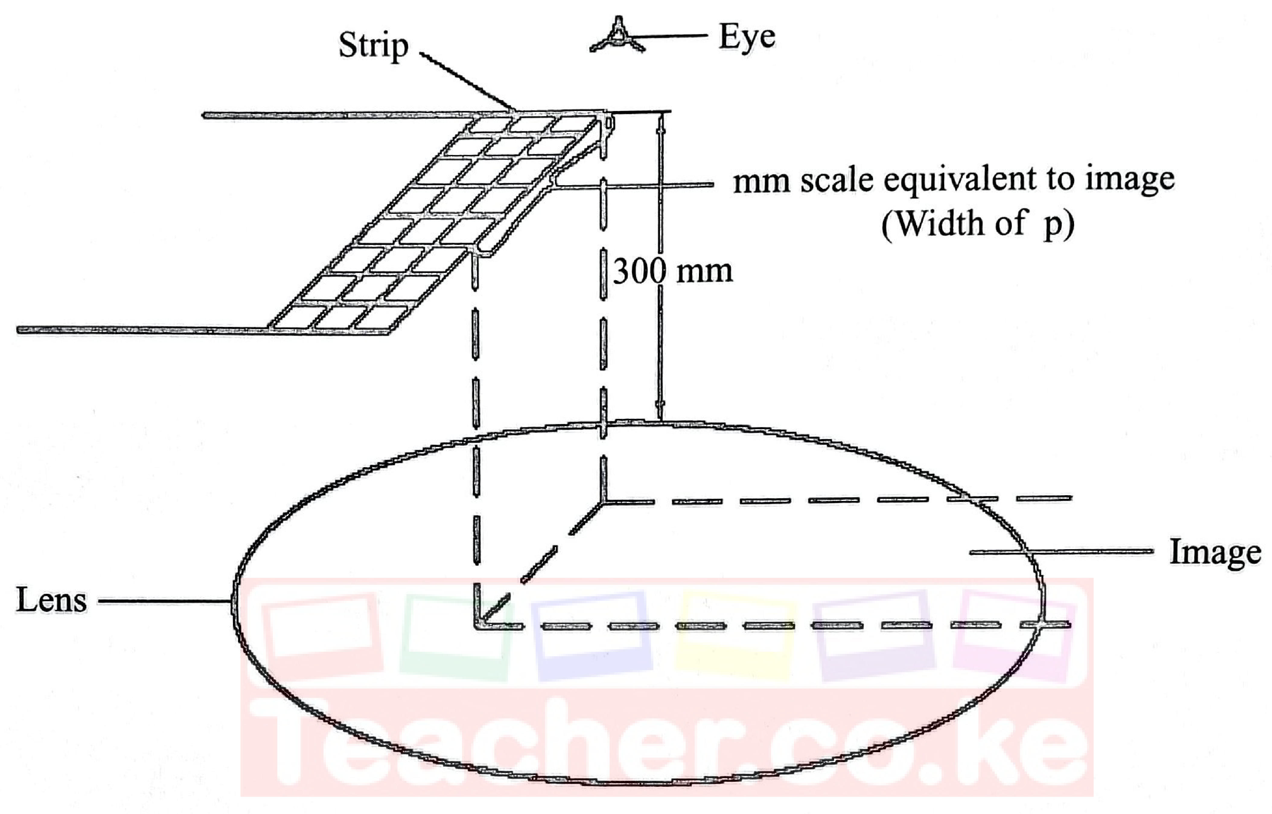 Figure 2: looking down past the edge of the strip at the image of the strip seen in the lens; the width of the image is read against the mm scale on the strip.