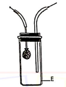 A specimen tube with a stopper and two bent tubes; the bottom glass part is labelled E.