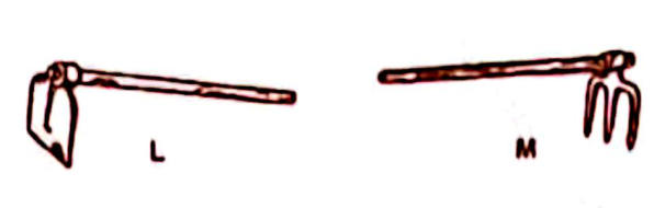 L: a hoe-like tool with a broad blade; M: a fork jembe (with prongs).