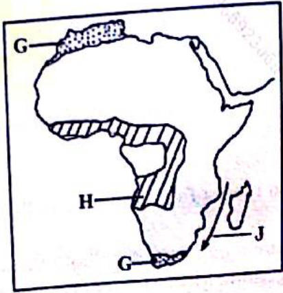 Map of Africa: G marks dotted strips at the north-west tip and the south-west tip; H marks a hatched belt that wraps around an unshaded Congo basin, from the West African interior down to Angola; J marks an arrow flowing south along the east coast between Madagascar and the mainland.