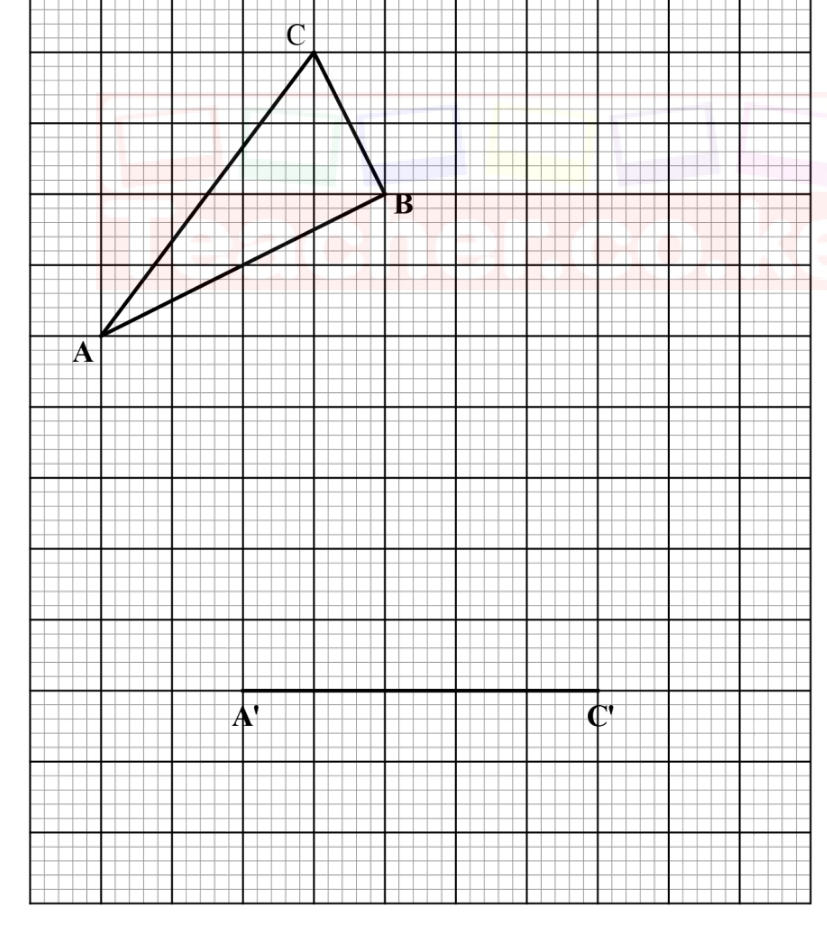 Grid showing triangle ABC in the upper part and the line A′C′ lower down.