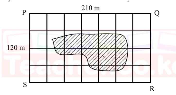 A 7 by 4 grid of squares representing farm PQRS (210 m by 120 m) with an irregular flooded patch covering parts of the middle squares.