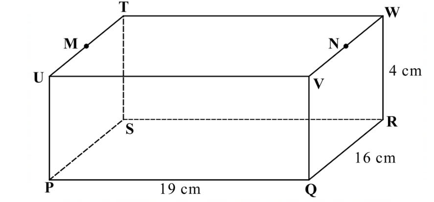 Cuboid PQRSTUVW with base PQRS (PQ = 19 cm, QR = 16 cm) and height RW = 4 cm; M on UT and N on VW.