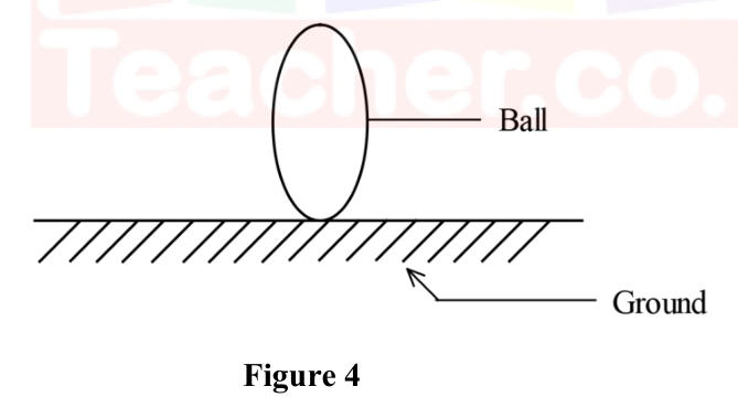 Figure 4: an oval (egg-shaped) ball standing on its narrow end on the ground.